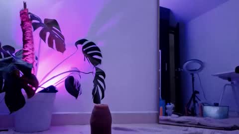 Vicky Greys online show from November 26, 8:10 pm