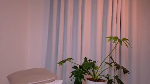VictoriaNova online show from August 3, 10:15 pm