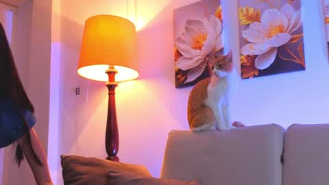 VIOLET  online show from August 3, 12:03 am