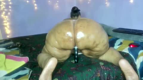 wilmaassylum online show from December 21, 6:50 am