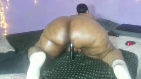 wilmaassylum online show from October 19, 7:43 am