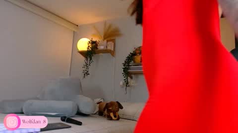   online show from November 26, 4:02 am