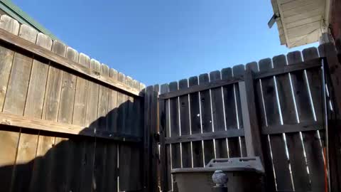 xoxomommy98 online show from October 16, 2:20 pm