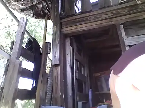 Snapshot of spundarella420 chatting on October 18, 5:15 pm spundarella420 online show from October 18, 5:15 pm