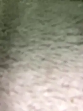 zoe adhara online show from September 30, 8:20 am