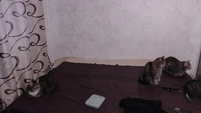 Olivia Winston online show from May 3, 2:26 am