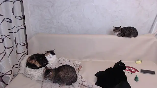 Olivia Winston online show from October 24, 3:24 am