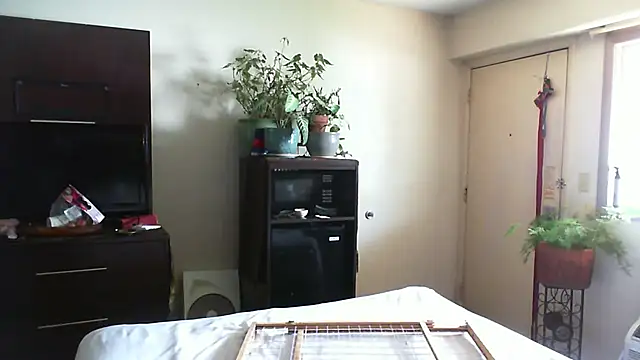 CeceilaMoon online show from July 16, 4:33 pm