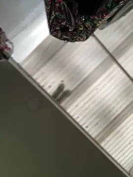 Mila Morgan online show from March 13, 8:54 pm