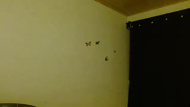 ella peck online show from July 3, 3:34 am