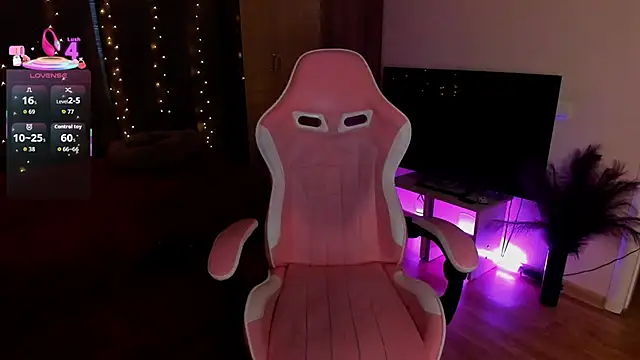 Jane Paws online show from February 16, 1:38 am