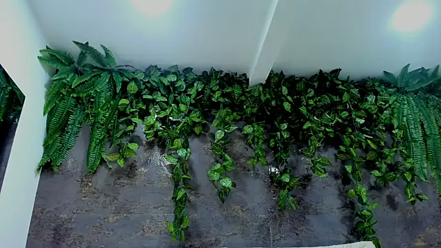 alice greco online show from December 16, 8:15 pm