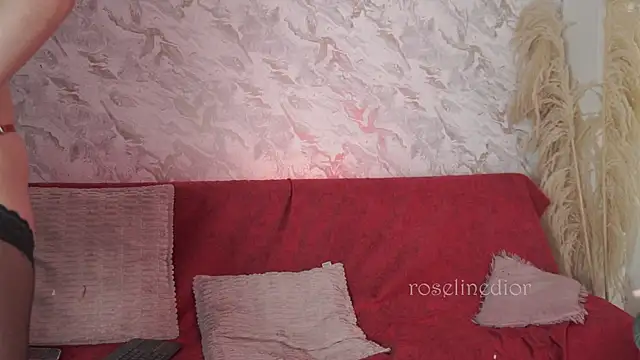 roselinedior online show from November 24, 4:31 pm