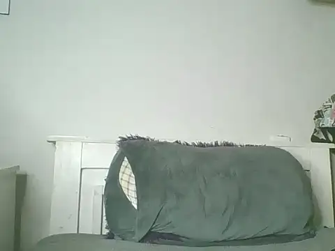 sweet bigclit online show from October 29, 4:50 am