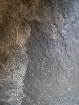 ANUBHABI online show from January 18, 2:08 am