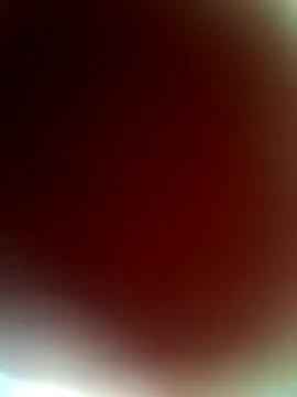 Anitabambola online show from August 5, 3:51 pm