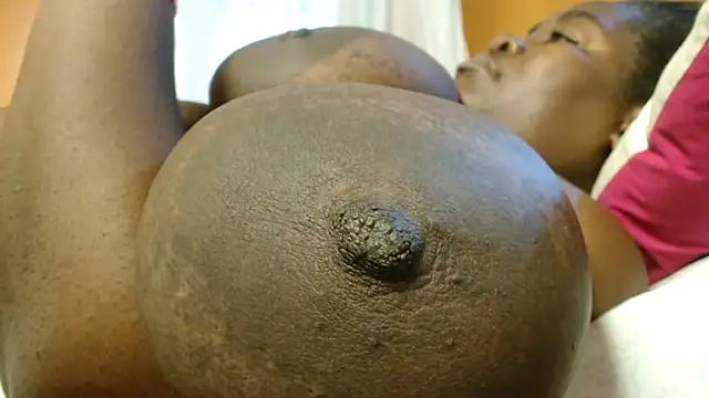 titi fiesta online show from February 15, 7:33 am