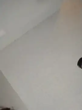 xWhoreAbleX Pika online show from November 30, 3:16 pm