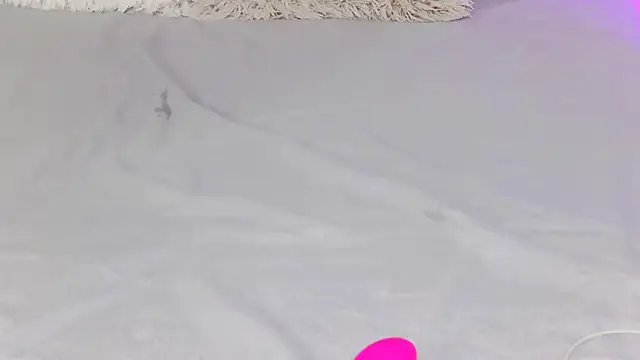 VioletiSwone online show from November 14, 6:24 am