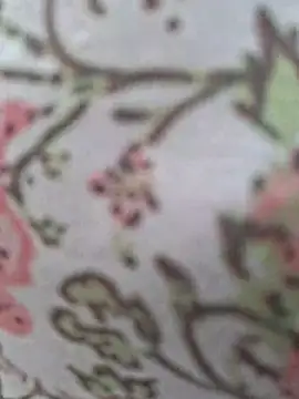 Priya Bong online show from July 17, 1:26 pm
