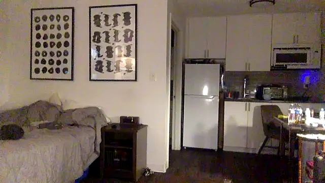 TheOnlyTwinTowers online show from May 19, 4:52 am