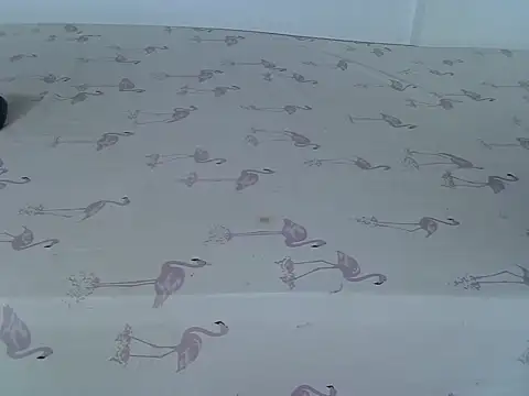 laetitia  online show from March 2, 1:16 am