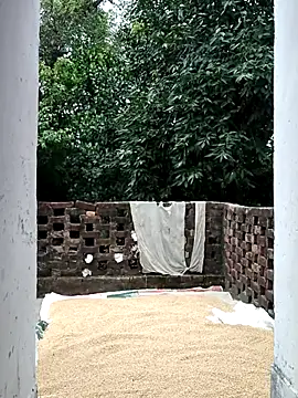 Miss Ayesha online show from October 2, 3:22 am