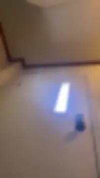 velvetta  online show from April 22, 3:42 pm