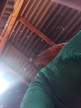 LOVELY-2BERRY online show from December 1, 7:23 am