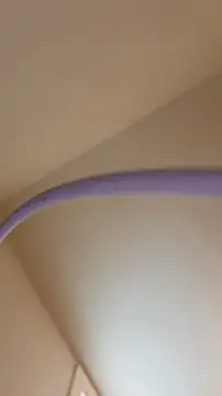 AllLeggs online show from May 21, 3:54 pm