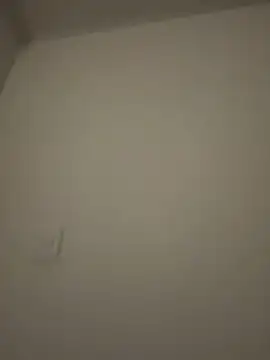 Amber Rush  online show from February 3, 3:48 am