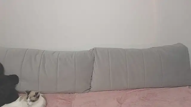 Snapshot of VikiSea chatting on November 1, 7:40 pm VikiSea online show from November 1, 7:40 pm