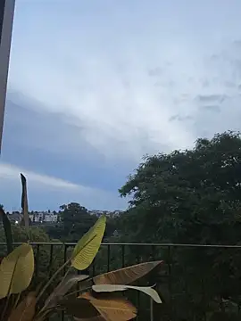 Dime-   online show from December 20, 5:06 pm