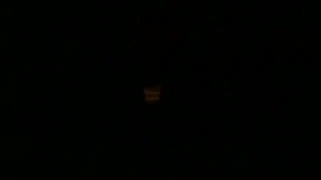 loveofbea online show from February 13, 1:02 pm