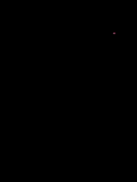 SmokingSloth online show from May 23, 6:56 am