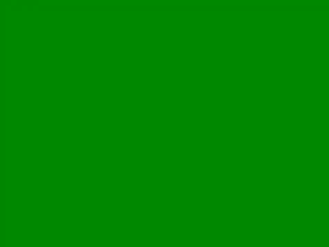 WH778899 online show from May 16, 9:45 am