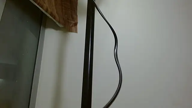 Bantonia online show from October 13, 11:13 am