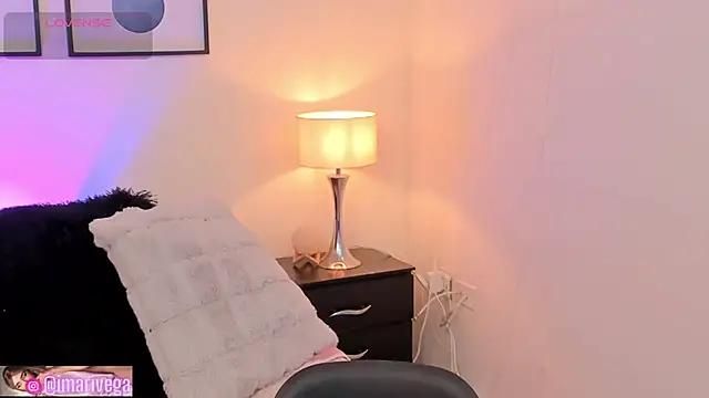 Snapshot of ariivega chatting on September 10, 10:54 pm ariivega online show from September 10, 10:54 pm