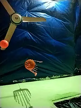 Shapla 1 online show from January 10, 2:33 pm