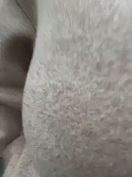 justmilaa online show from November 23, 12:40 pm