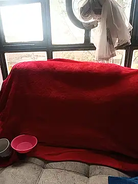 Tefannyy  online show from June 17, 2:07 pm