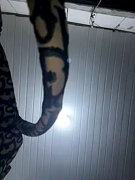 luara1988 online show from December 14, 11:54 pm