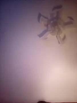 Fiesty findom40 online show from January 10, 2:27 am