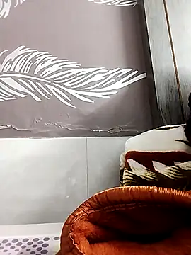 shalini fire online show from November 2, 6:11 pm