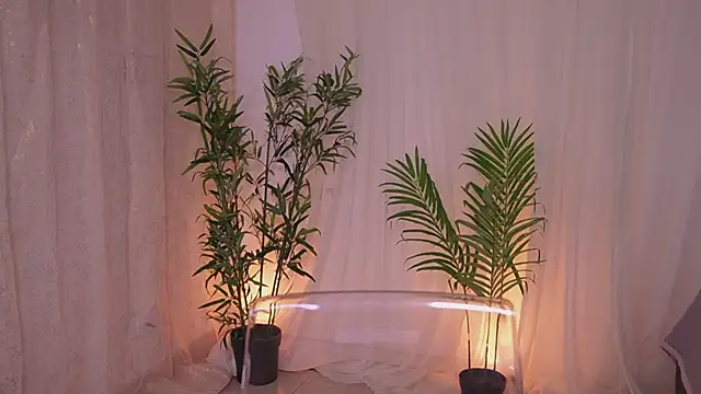 Lia Sweett  online show from June 16, 4:41 pm