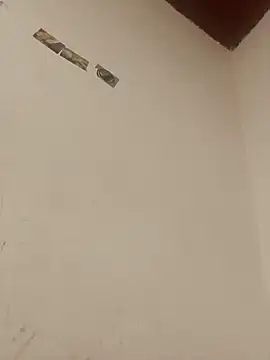 boobsTaylor online show from October 3, 7:13 am