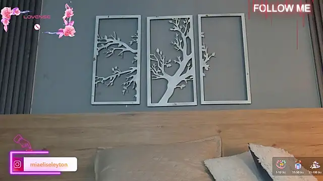 Elise-Leyton online show from April 30, 8:57 pm