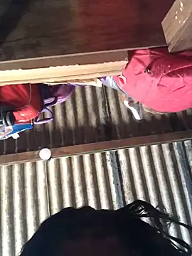 MisterioDeGatora online show from September 18, 4:05 pm