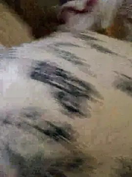 EgyptianMilf2025 online show from December 15, 7:35 am