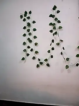 Neha-Bhabhi-Rasily online show from December 18, 11:04 am